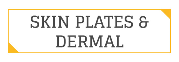 SKINPLATES/DERMAL