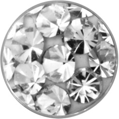 Klemlens - Basis Titanium - Eenkleurig met Swarovski Kristal
