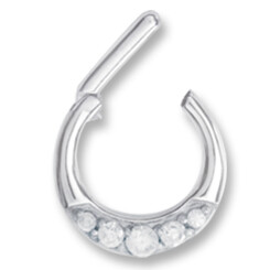 Septum clip ring - 316 stainless steel