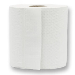 CONPROTA - Papieren handdoekrollen 450 vel - 19 x 25 cm -...